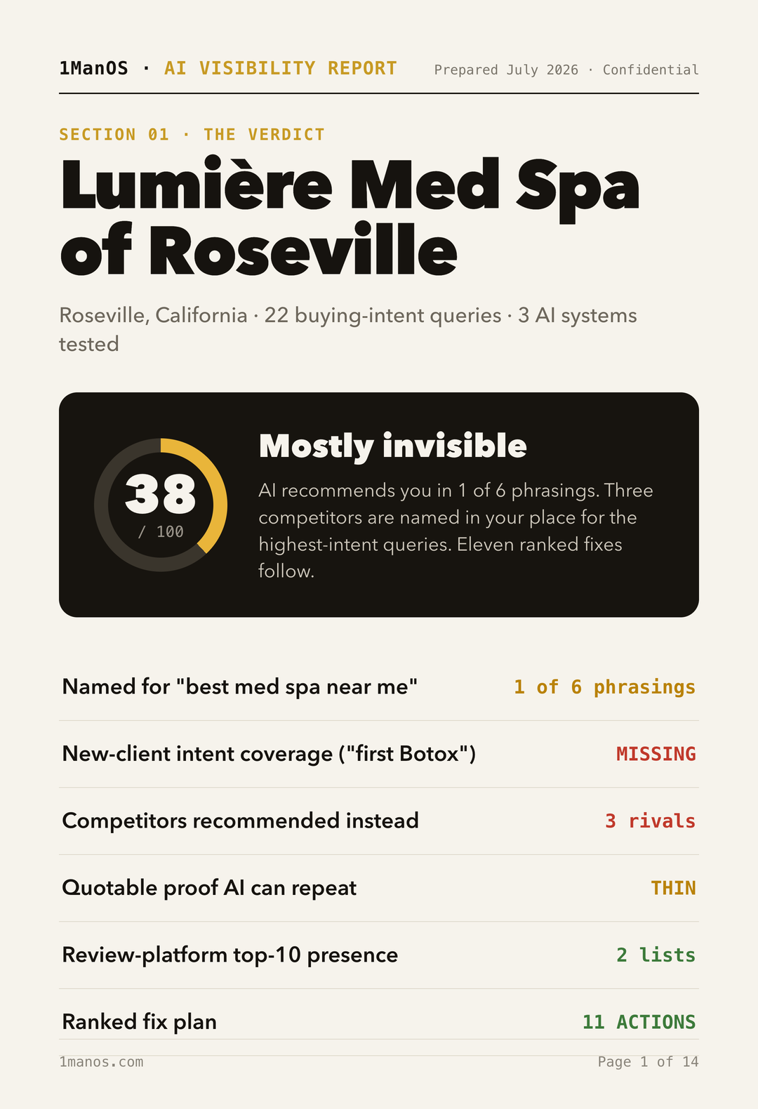 Sample AI Visibility report